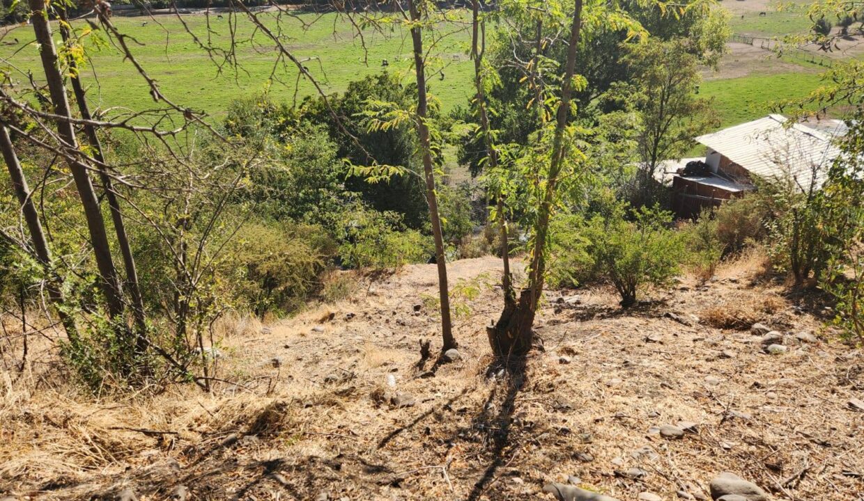 596984984_10238604123579878_6757996809381476969_n