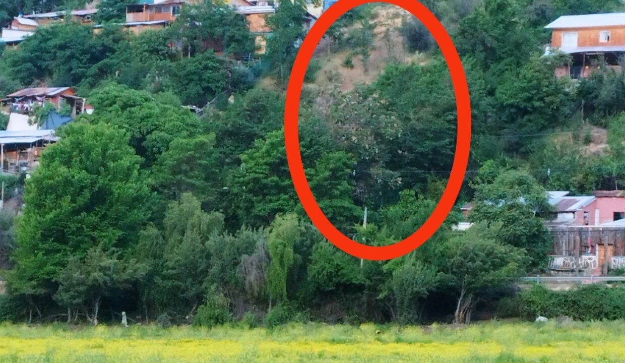 597862841_10238661426132406_2244284116368756046_n