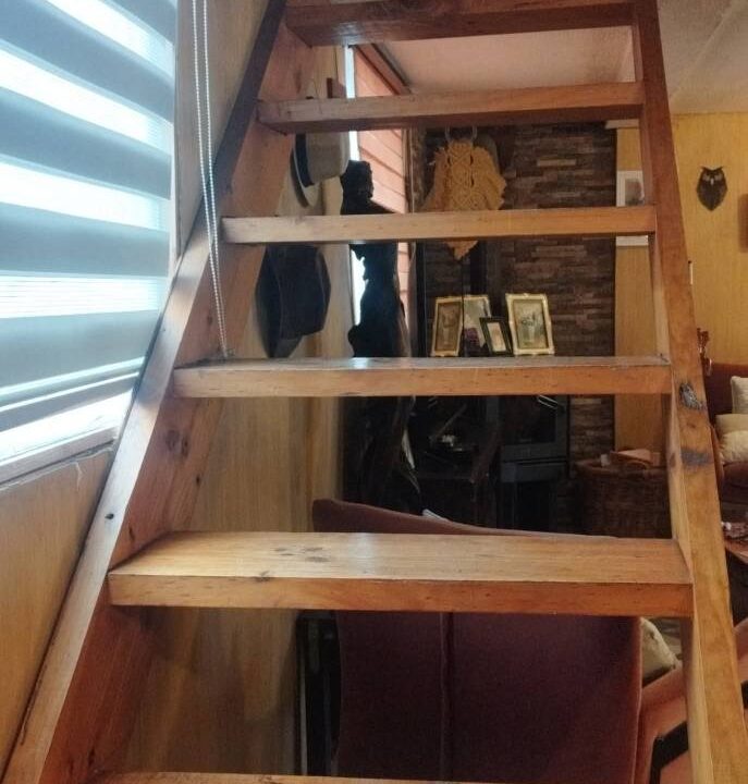 606491425_10238933634457444_2391926823635205565_n