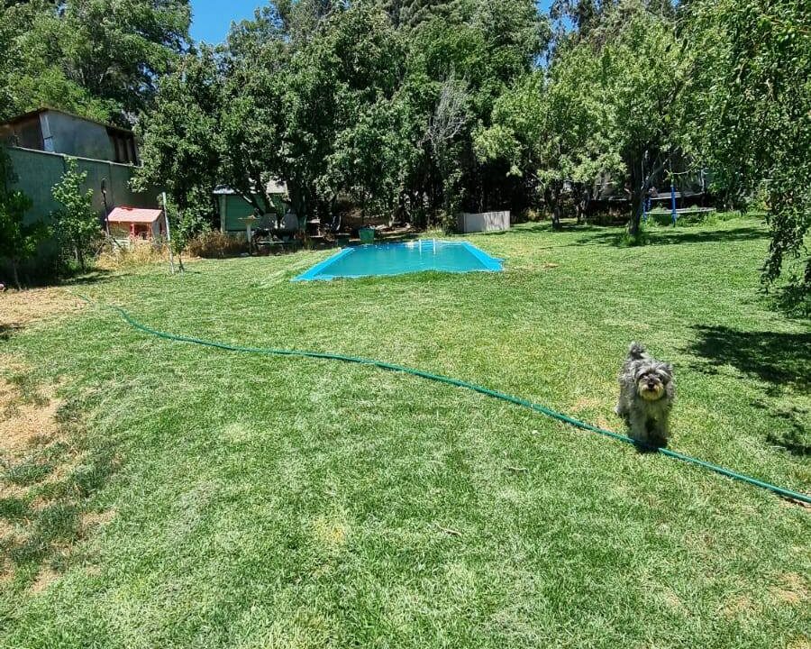 607280856_10238908048057800_2419586502234976429_n