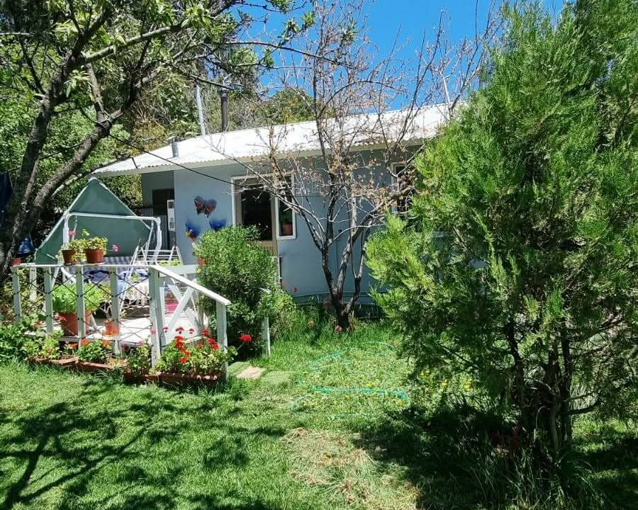 FB_IMG_1770822725546