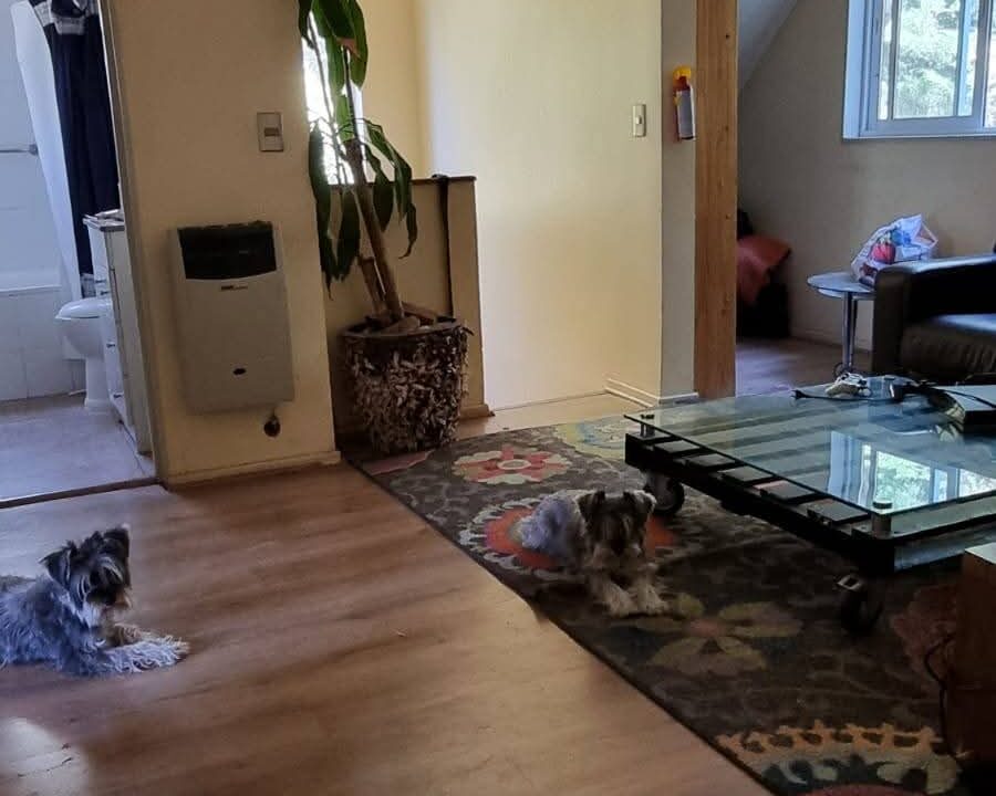 FB_IMG_1770822751402