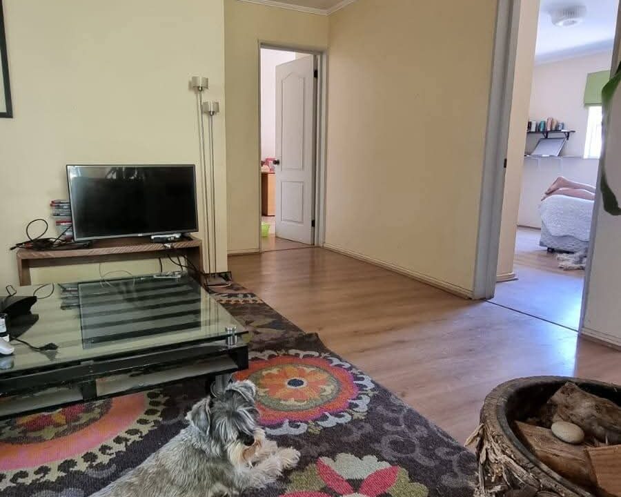 FB_IMG_1770822762452