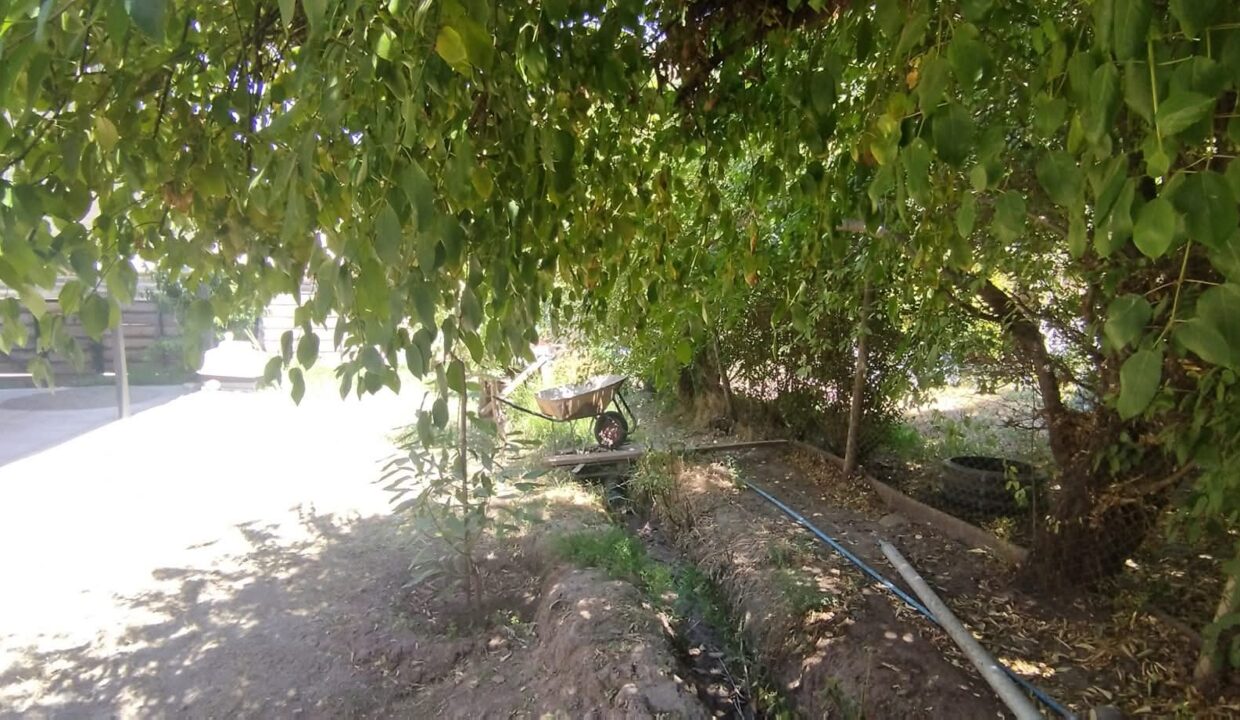 FB_IMG_1770823119574