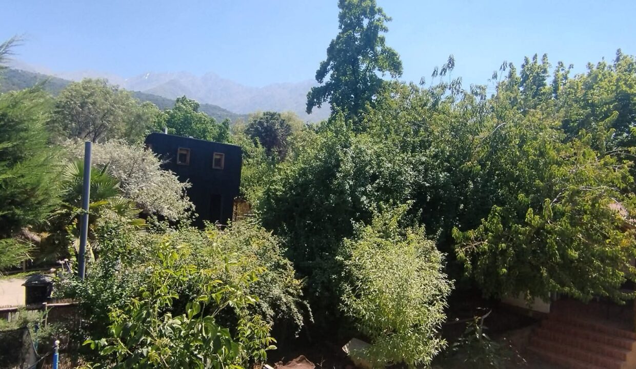 FB_IMG_1770823145068