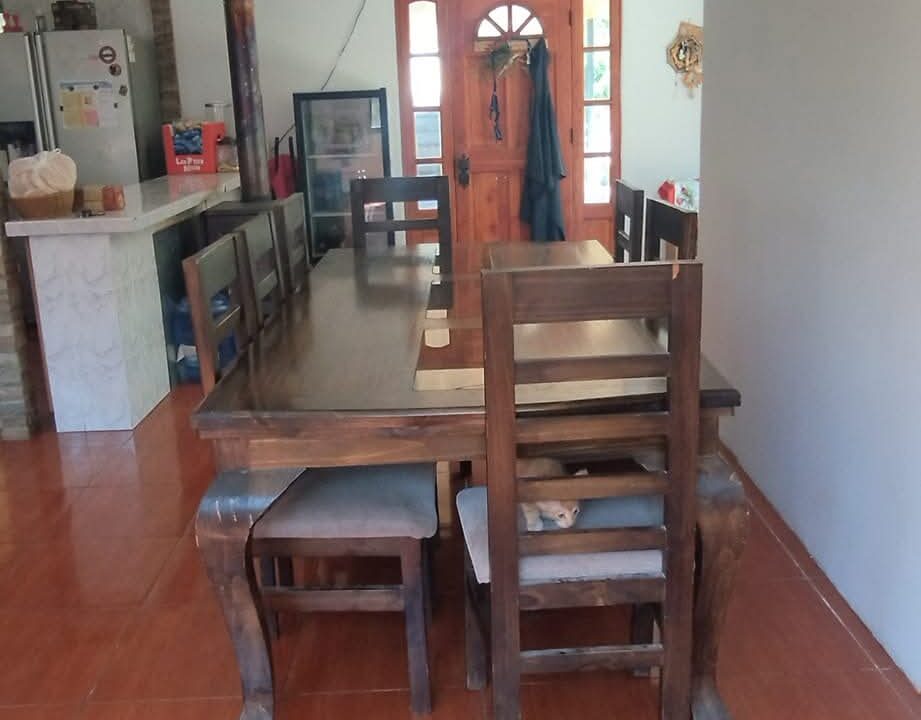 FB_IMG_1770823146536