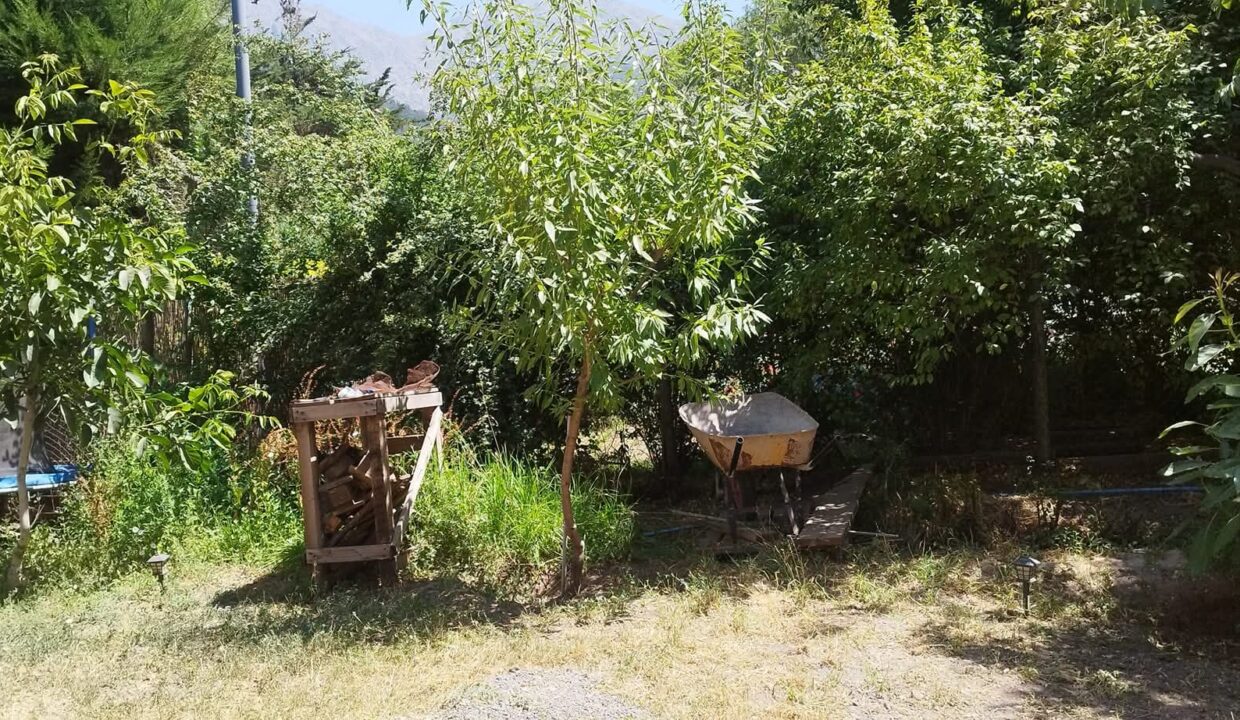 FB_IMG_1770823156997